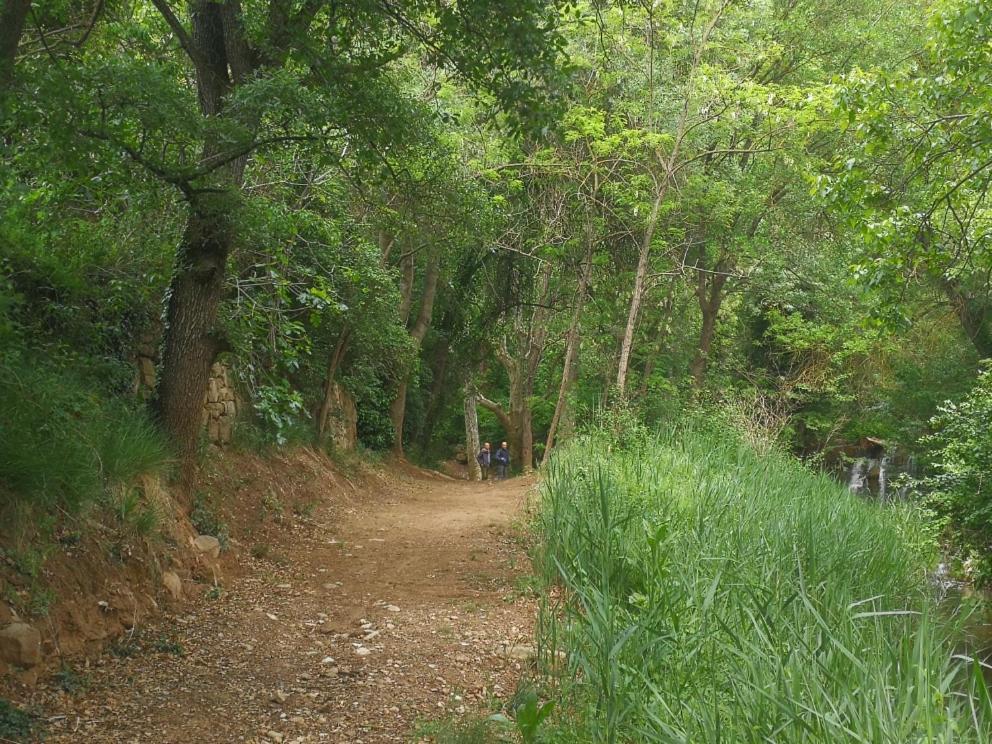 مبيت وإفطار Granollers de Florejacs La Casa Dels Ocells (Adults Only) المظهر الخارجي الصورة